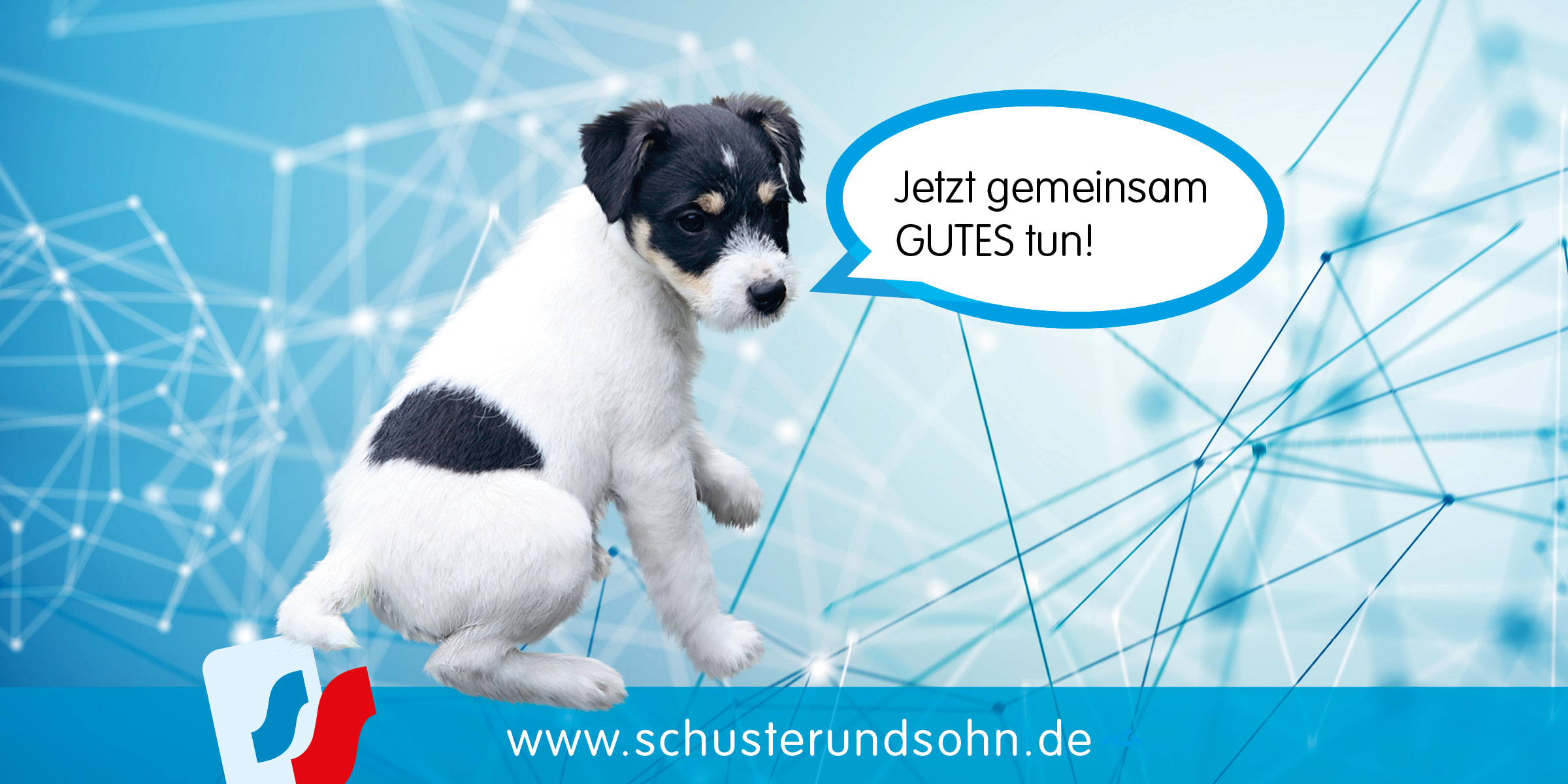 2021_07_AmySpendenaktion_News_02